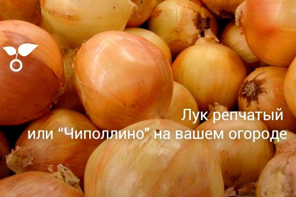 Ссылки на сайты даркнета