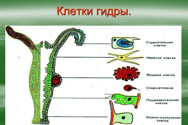 Как выйти на кракен