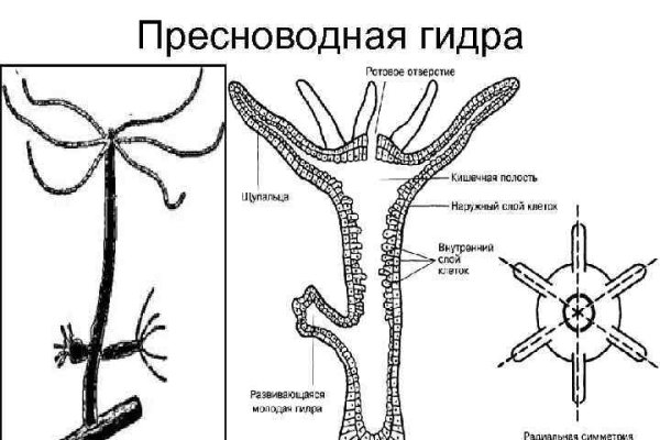 Тор браузер кракен