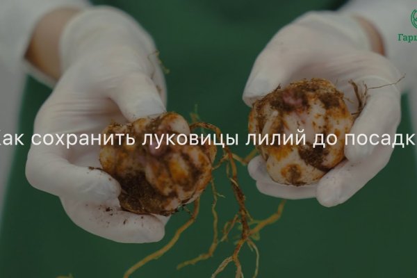 Кракен настоящий сайт