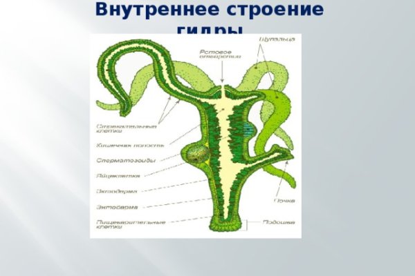 Ссылка на kraken торговая площадка