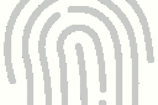 Как вывести деньги с kraken