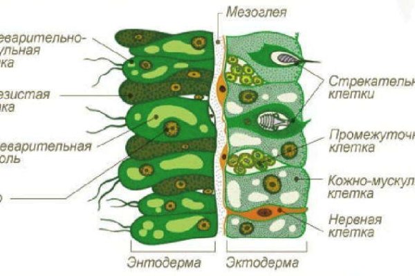 Кракен тор kr2web in