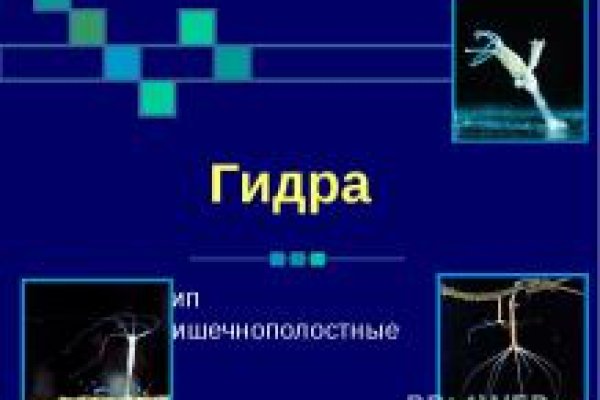 Доступ к kraken через vpn