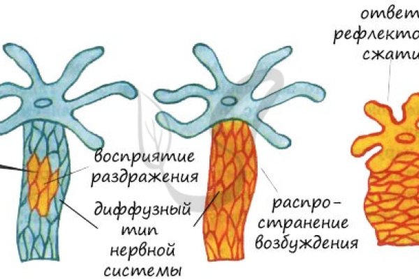 Скачать кракен тор